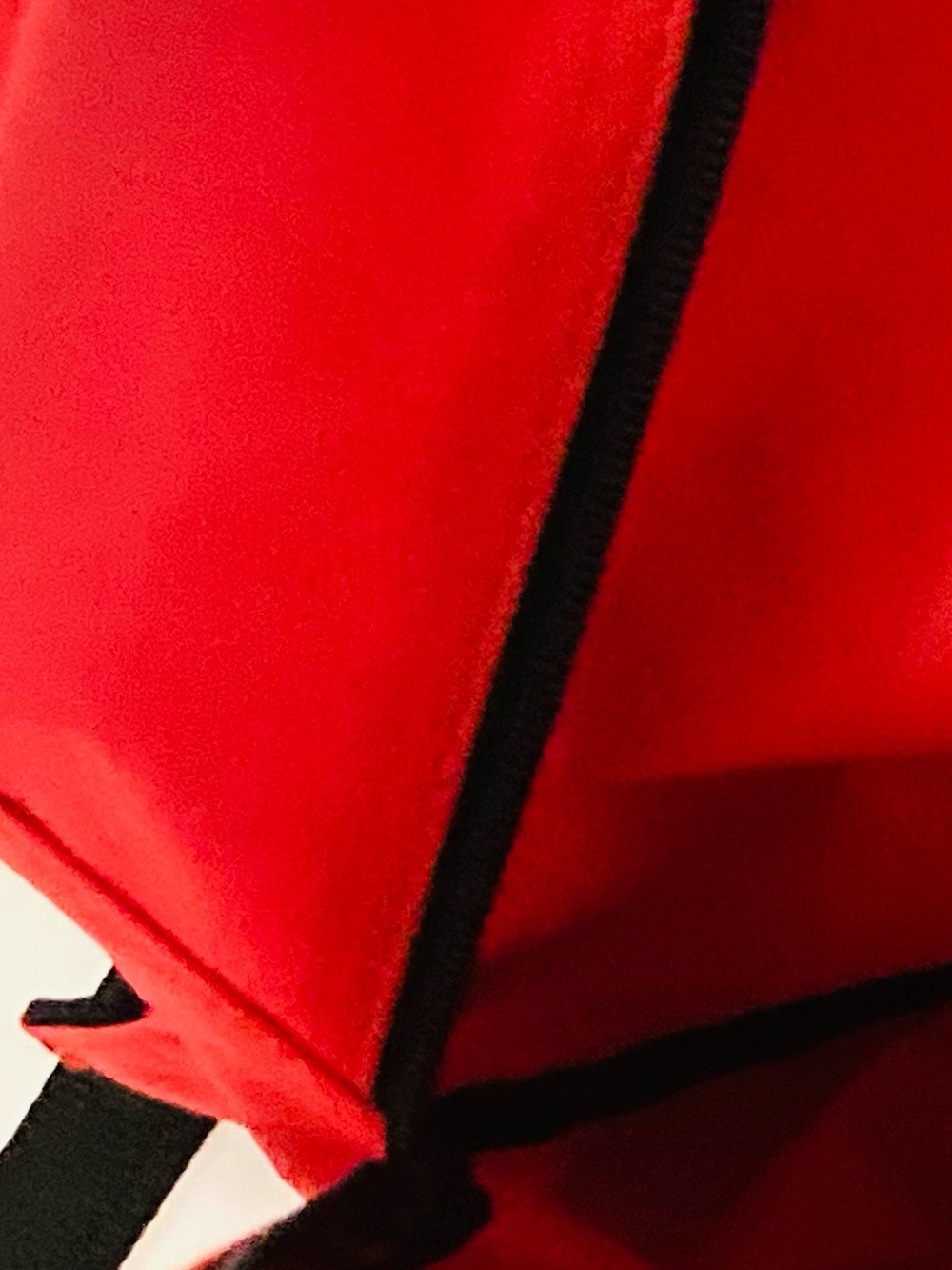 Red Backpack - Picture 2 of 8